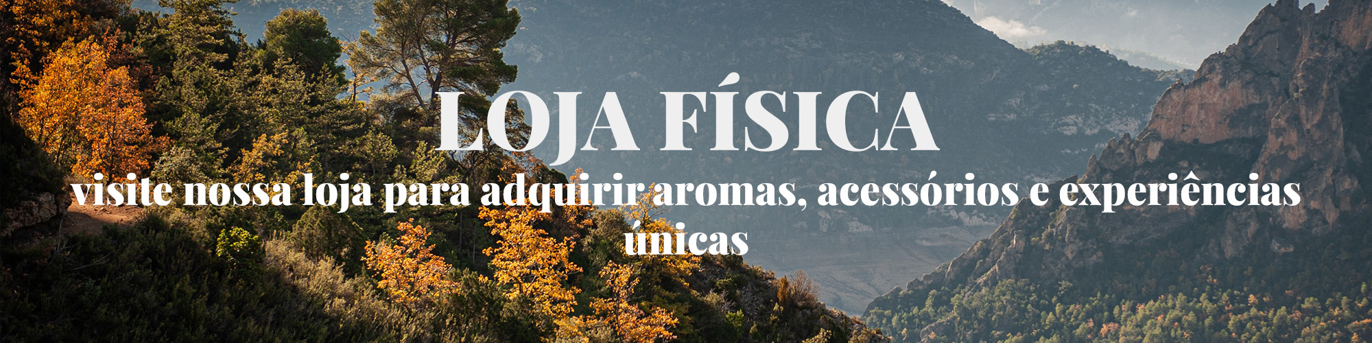 titulo loja